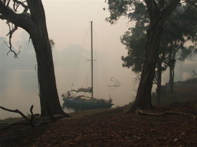 bush fires australia