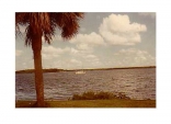 Jubilee At Anchor In St. John's River