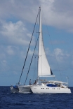 Freedom Trimaran