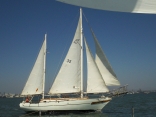 Some Recent Sailing Pics..