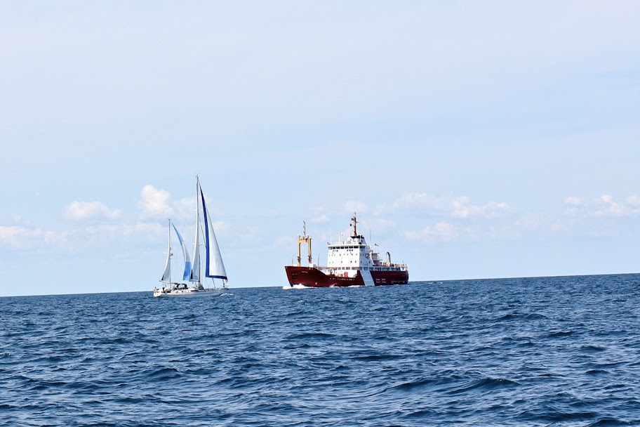 Roxy, Gray's Reef 2012 Ccg Passing