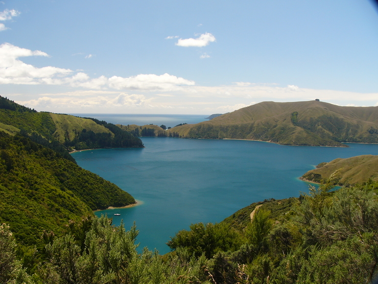 An elevated view Of Prt Ligar NZ