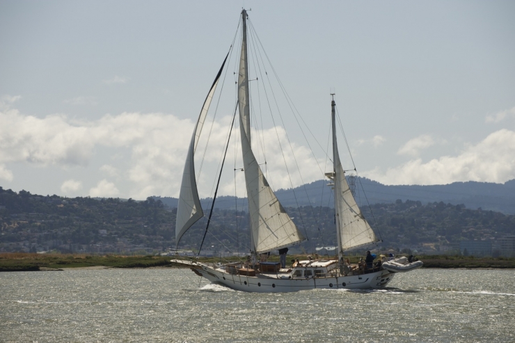 Moonshadow In Sf Bay