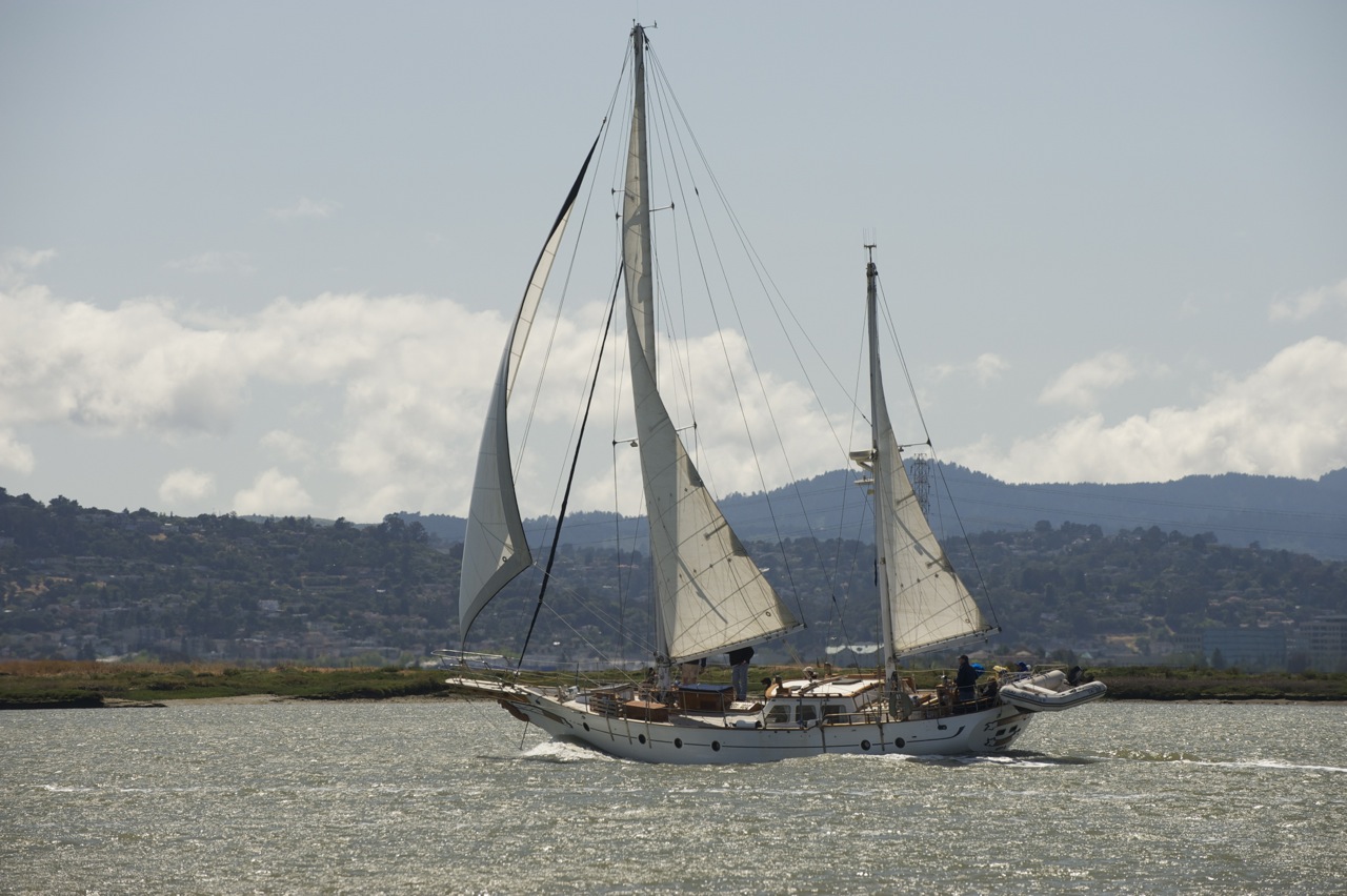 Moonshadow In Sf Bay