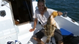 Key West Grouper