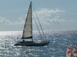 Trimaran Exeption 43