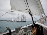 Tall Ships Race