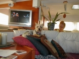 Mom in the Galley and me on my perch