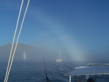 A fogbow?