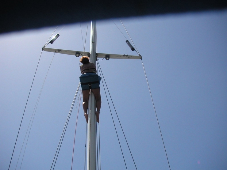 Up the mast