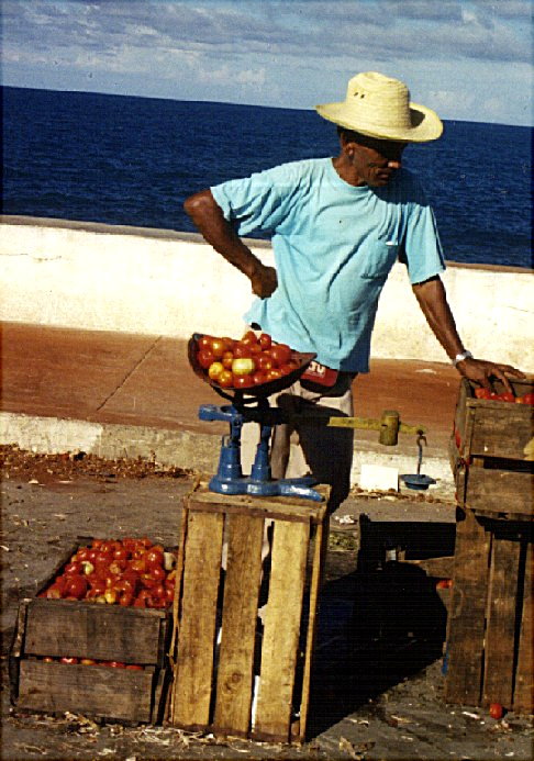 Tomato Man, Baracoa Cuba
