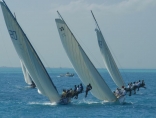 Family Island Regatta  @ Georgetown, Exuma