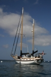 S/y Alliance