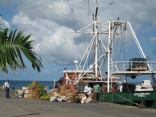 Weekly Produce Boat From Dominica