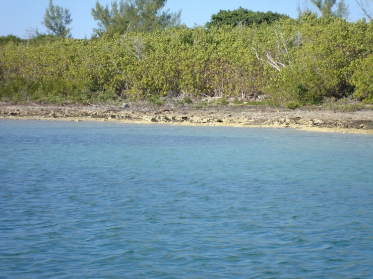 Hatchet Bay Pond