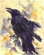 Raven4Sail's Avatar