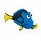 Dory's Avatar