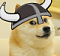 Doge's Avatar