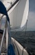 sailjunkie's Avatar