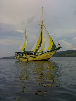schoonerman's Profile Picture