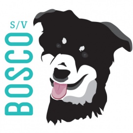 SV Bosco's Profile Picture