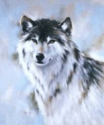 greywolfone's Profile Picture