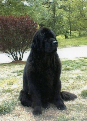 watson1990's Profile Picture