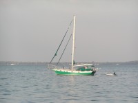 Seaventure's Profile Picture