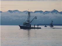 Alaskafisherman's Profile Picture