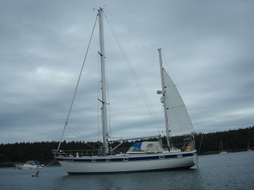 sailful's Profile Picture