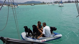 Click image for larger version

Name:	DinghyDogs2.jpg
Views:	400
Size:	108.8 KB
ID:	100394