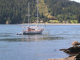 Click image for larger version

Name:	Idora at obstruction island.jpg
Views:	227
Size:	81.8 KB
ID:	103158