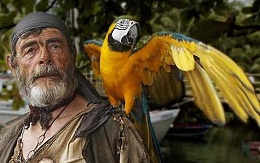 Click image for larger version

Name:	Pirate parrot_1479299c.jpg
Views:	573
Size:	27.5 KB
ID:	105085