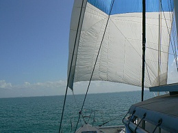 Click image for larger version

Name:	spinnaker 003.jpg
Views:	1416
Size:	103.3 KB
ID:	10558