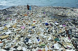 Click image for larger version

Name:	manila_garbage.jpg
Views:	165
Size:	98.5 KB
ID:	107762