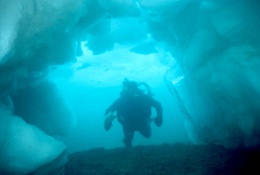 Click image for larger version

Name:	Diver in Tunnel.jpg
Views:	430
Size:	58.1 KB
ID:	108259