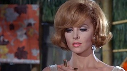 Click image for larger version

Name:	TV-Redheads-Ginger-Gilligans-Island-628x355.jpg
Views:	727
Size:	39.9 KB
ID:	108474