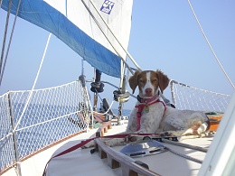 Click image for larger version

Name:	On Watch Under Sail.jpg
Views:	109
Size:	422.0 KB
ID:	108486