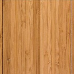 Click image for larger version

Name:	Bamboo Planks Home Depot 1.jpg
Views:	476
Size:	18.1 KB
ID:	113396