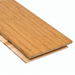 Click image for larger version

Name:	Bamboo Planks Home Depot 2.jpg
Views:	503
Size:	72.5 KB
ID:	113397