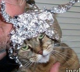 Click image for larger version

Name:	catfoil.jpg
Views:	120
Size:	38.0 KB
ID:	114125