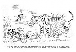 Click image for larger version

Name:	extinction.jpg
Views:	637
Size:	31.2 KB
ID:	115331