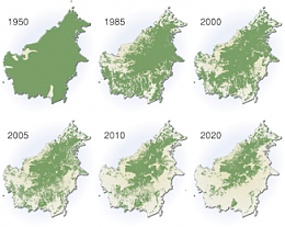 Click image for larger version

Name:	borneo-deforestation-map.png
Views:	425
Size:	92.0 KB
ID:	116208