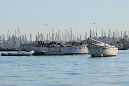 Click image for larger version

Name:	Richardson Bay 123115 6.jpg
Views:	205
Size:	376.4 KB
ID:	116506