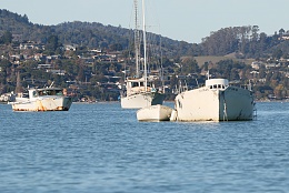 Click image for larger version

Name:	Richardson Bay 123115 8.jpg
Views:	189
Size:	420.0 KB
ID:	116508