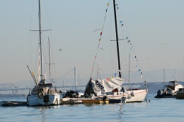 Click image for larger version

Name:	Richardson Bay 123115 10.jpg
Views:	213
Size:	335.2 KB
ID:	116510