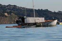 Click image for larger version

Name:	Richardson Bay 123115 15.jpg
Views:	121
Size:	401.7 KB
ID:	116515