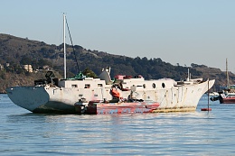 Click image for larger version

Name:	Richardson Bay 123115 16.jpg
Views:	142
Size:	403.6 KB
ID:	116516