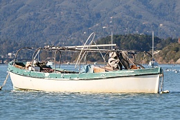 Click image for larger version

Name:	Richardson Bay 123115 21.jpg
Views:	141
Size:	416.6 KB
ID:	116521