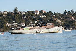 Click image for larger version

Name:	Richardson Bay 123115 23.jpg
Views:	126
Size:	425.8 KB
ID:	116523